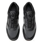 Brunswick Fury